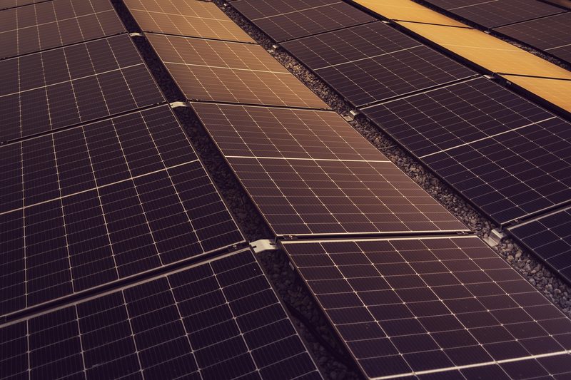 Rows of photovoltaic panels on a utility-scale solar plant
